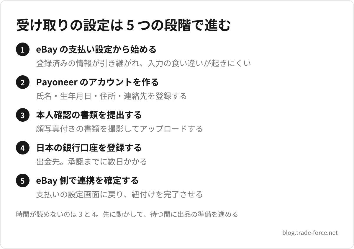 受け取りの設定は 5 つの段階で進む — eBay の支払い設定から始める(登録済みの情報が引き継がれ、入力の食い違いが起きにくい)、Payoneer のアカウントを作る(氏名・生年月日・住所・連絡先を登録する)、本人確認の書類を提出する(顔写真付きの書類を撮影してアップロードする)、日本の銀行口座を登録する(出金先。承認までに数日かかる)、eBay 側で連携を確定する(支払いの設定画面に戻り、紐付けを完了させる)、時間が読めないのは 3 と 4。先に動かして、待つ間に出品の準備を進める